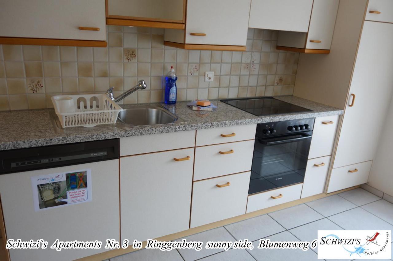 Schwizi'S Apartments Ringgenberg Εξωτερικό φωτογραφία