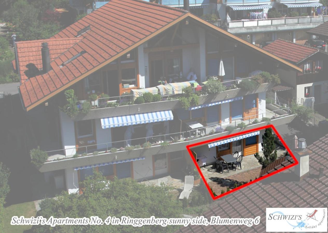 Schwizi'S Apartments Ringgenberg Δωμάτιο φωτογραφία