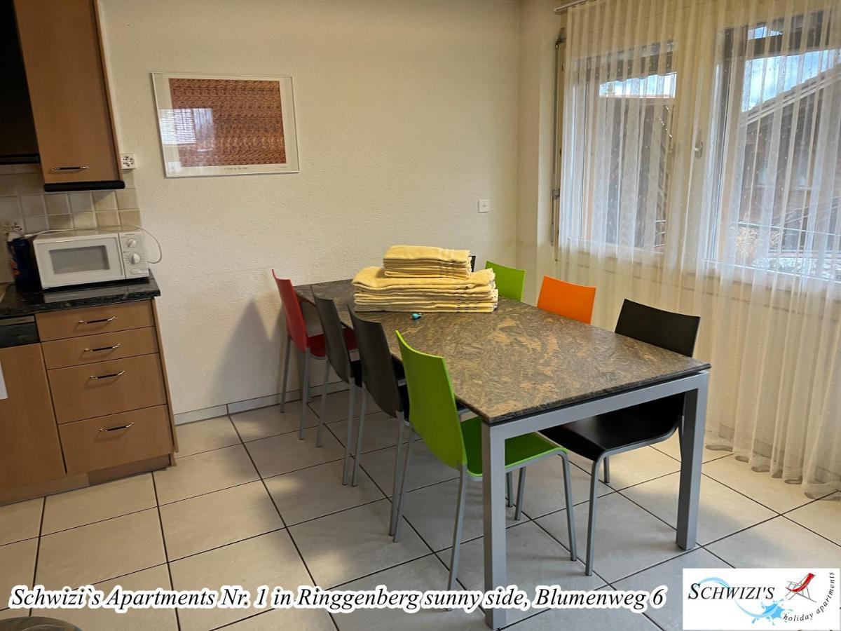 Schwizi'S Apartments Ringgenberg Εξωτερικό φωτογραφία
