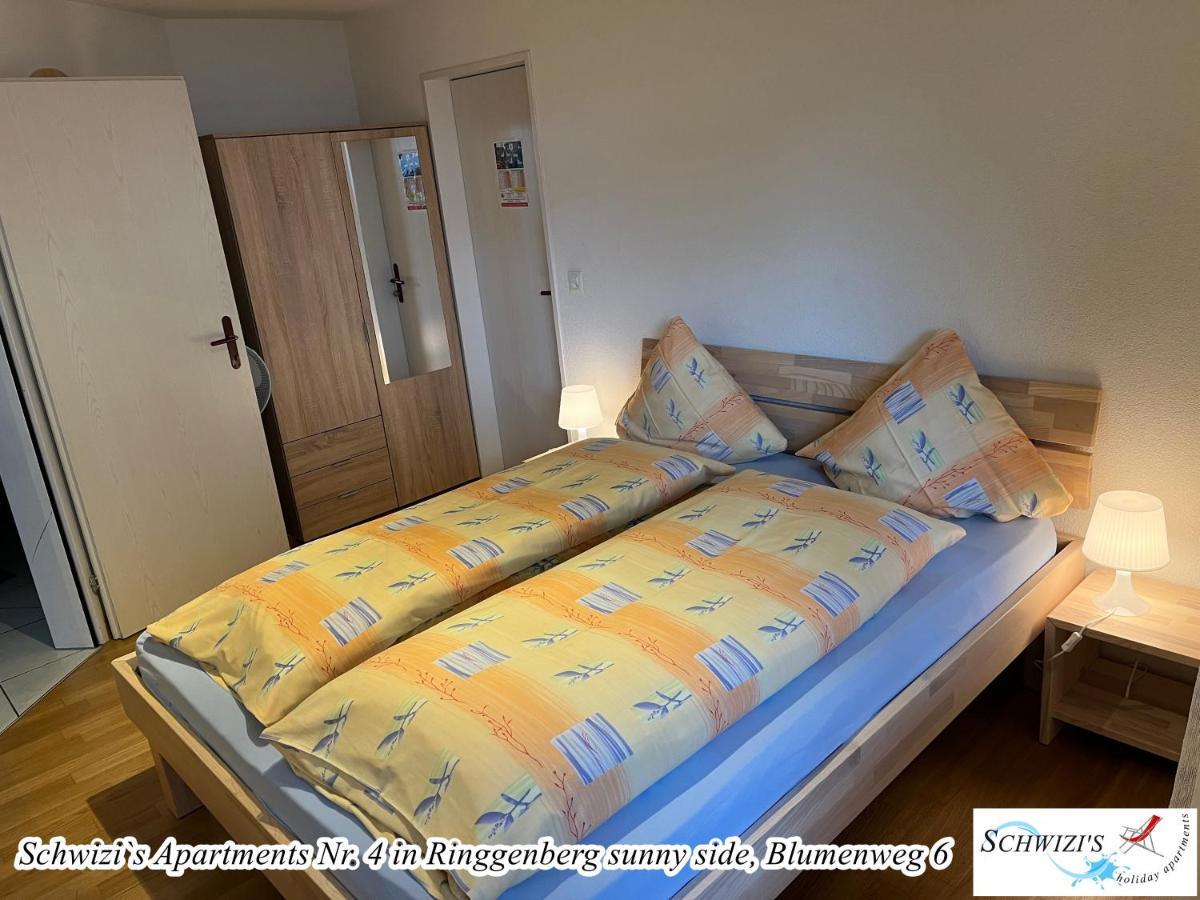 Schwizi'S Apartments Ringgenberg Εξωτερικό φωτογραφία