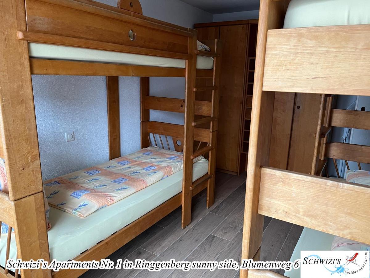 Schwizi'S Apartments Ringgenberg Εξωτερικό φωτογραφία