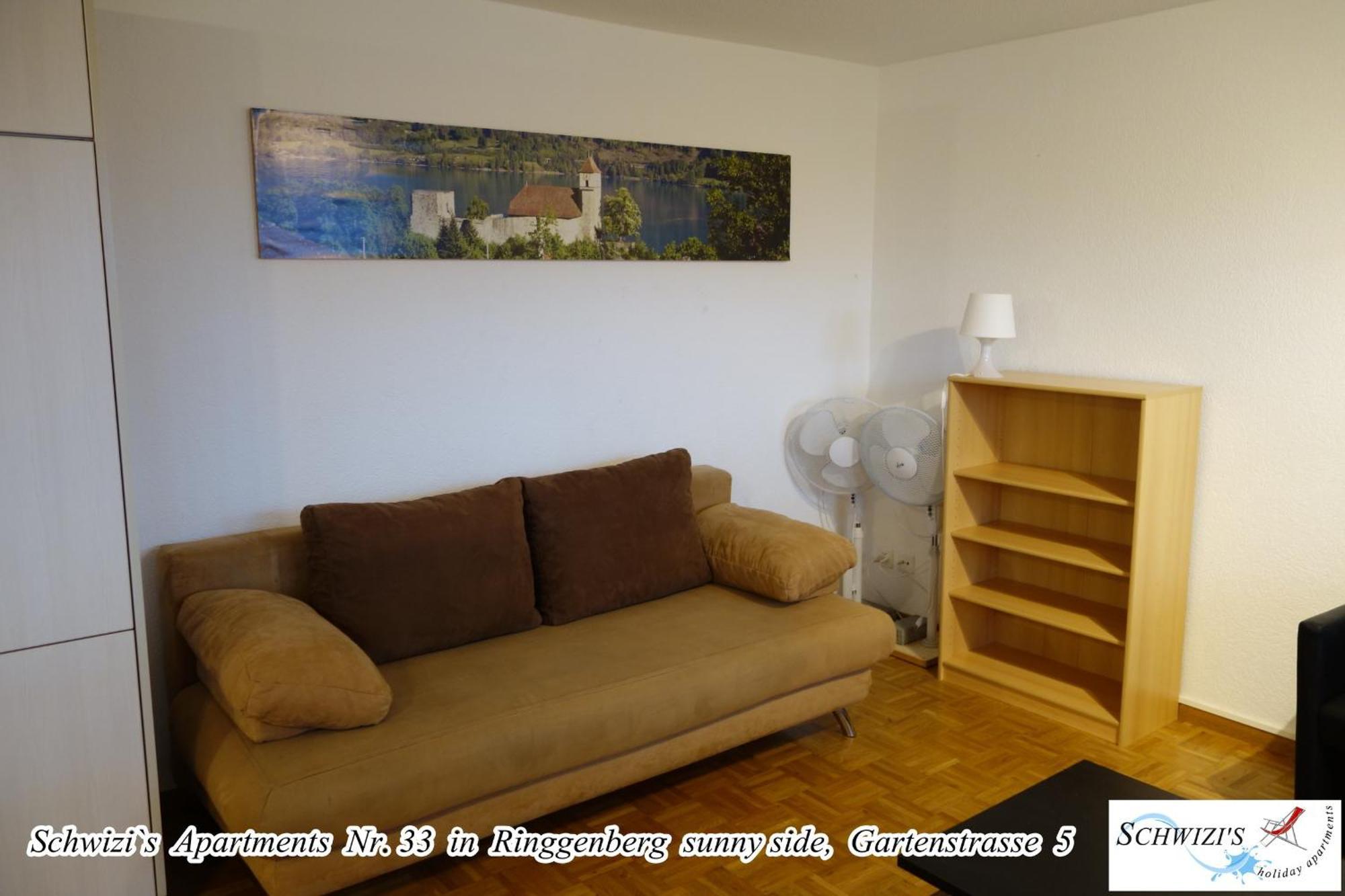 Schwizi'S Apartments Ringgenberg Εξωτερικό φωτογραφία