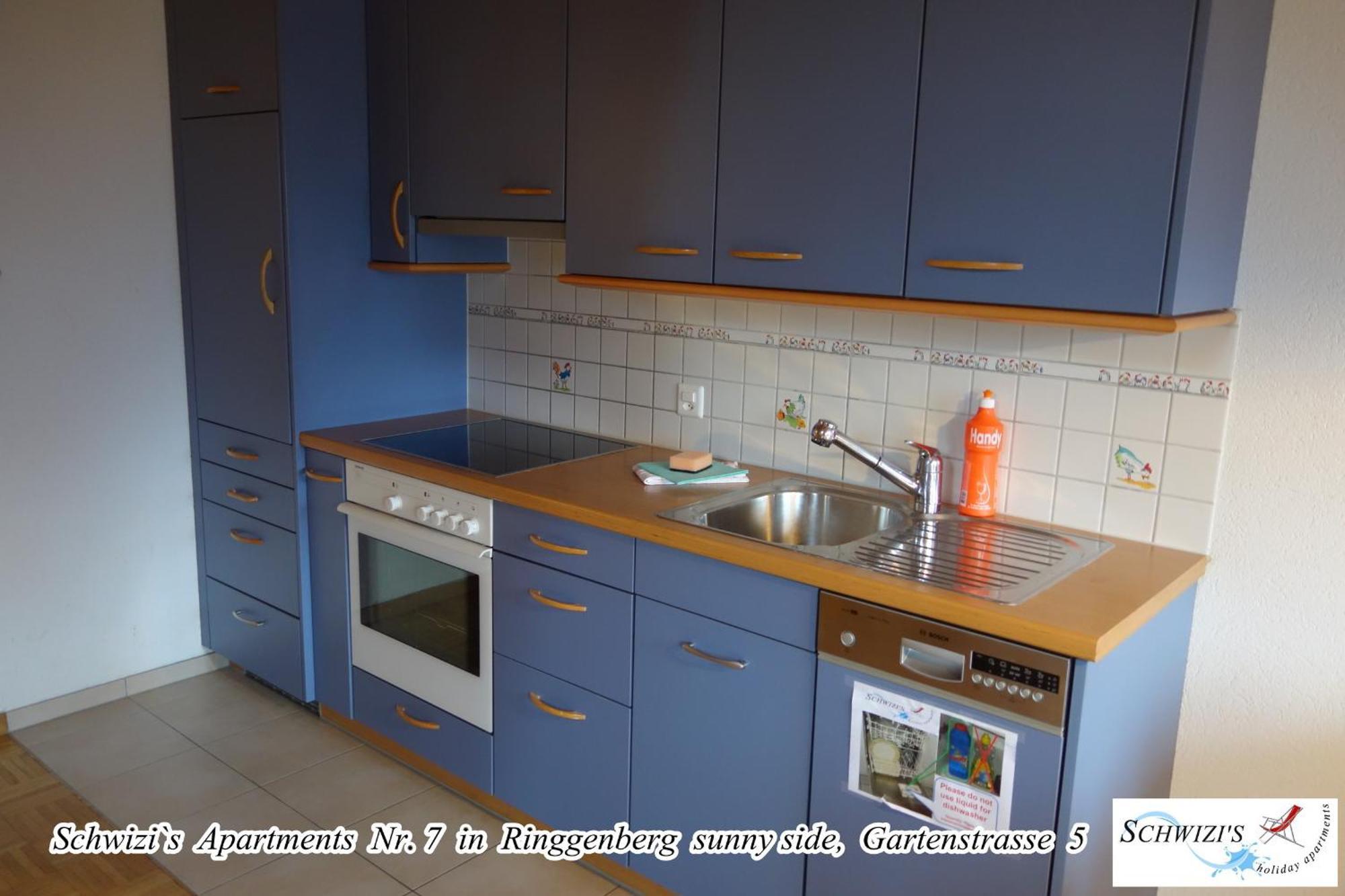 Schwizi'S Apartments Ringgenberg Εξωτερικό φωτογραφία