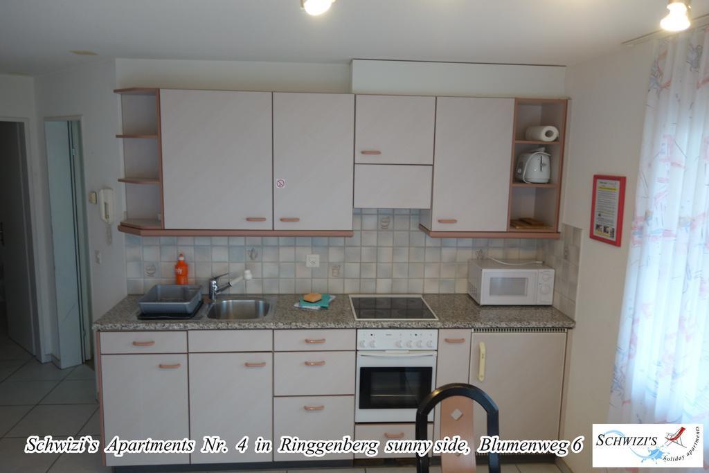 Schwizi'S Apartments Ringgenberg Δωμάτιο φωτογραφία