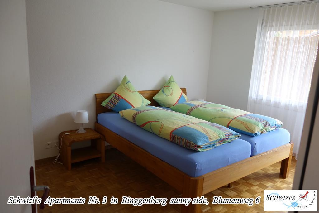Schwizi'S Apartments Ringgenberg Δωμάτιο φωτογραφία