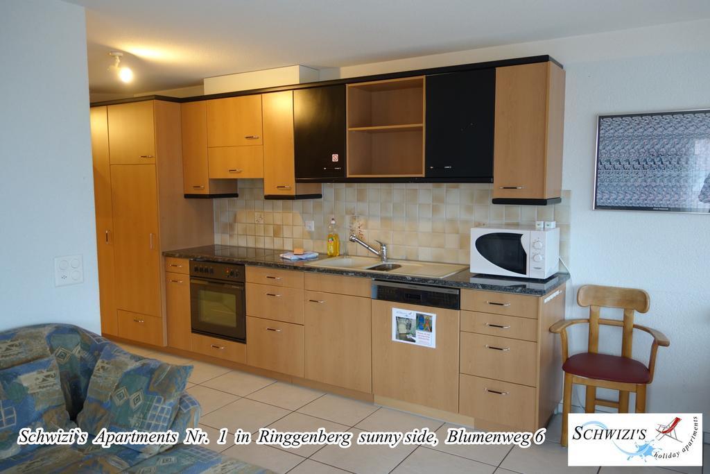 Schwizi'S Apartments Ringgenberg Δωμάτιο φωτογραφία